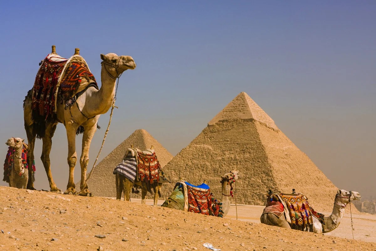 Half-Day Tour To Pyramids Of Giza & Sphinx