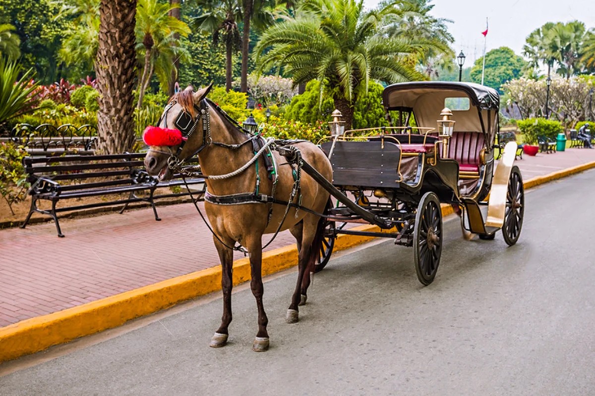 Aswan City Tour in Horse Carriage