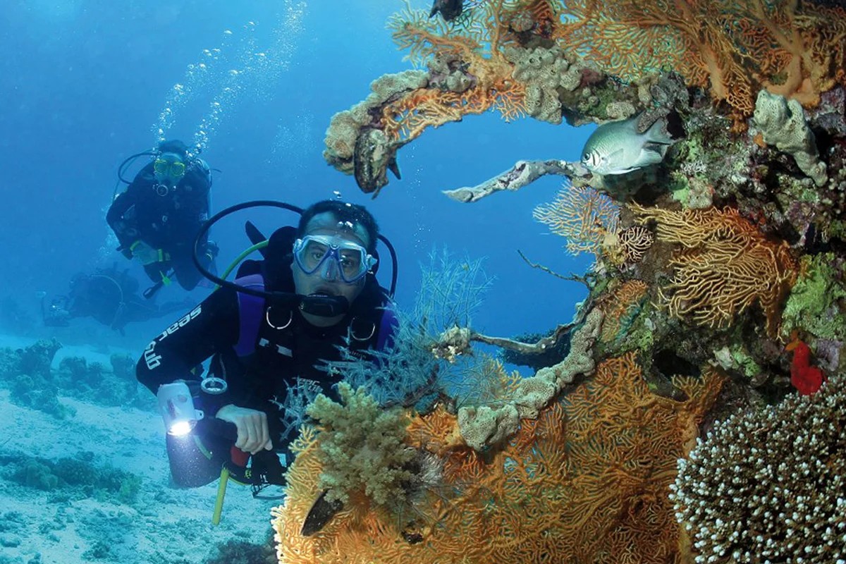 Scuba diving Marsa Alam