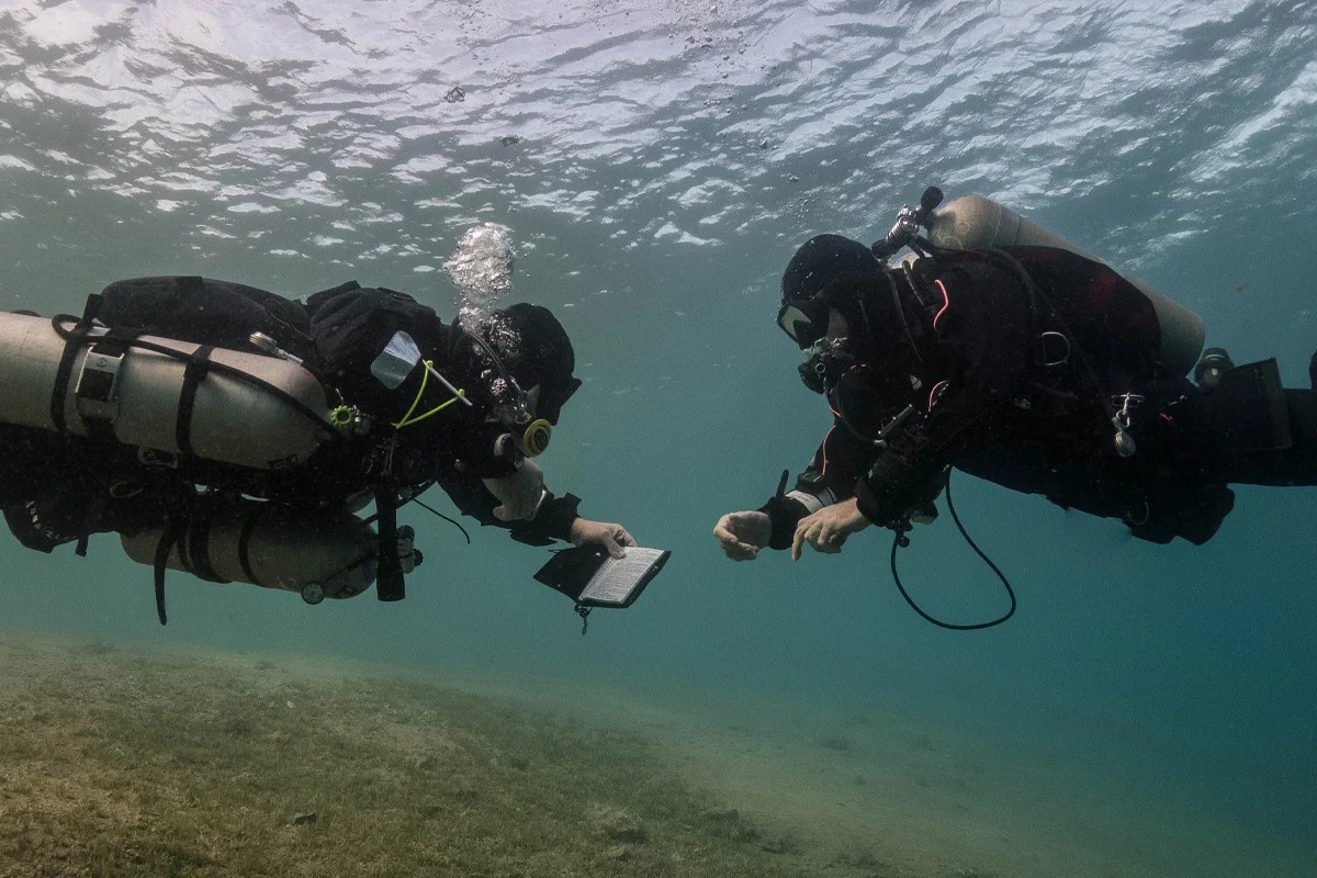 Snorkeling Trip At Port Ghalib Marina from Marsa Alam